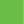  Ninja Green